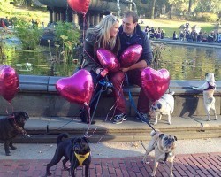 16 Pugs Helped a Man Do the Sweetest Thing EVER For His Girlfriend