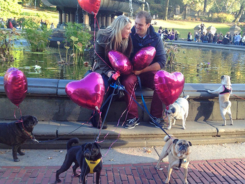 pug proposal