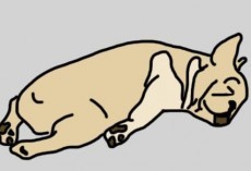 How Much a Dog’s Sleeping Position Tells Us About Him is Extraordinary