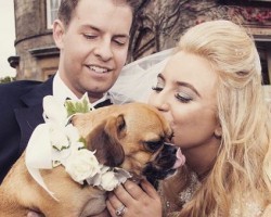 How This Couple Incorporated Their Pug in Their Wedding is the Sweetest Thing EVER!