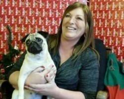 You’ll Never Guess How Long This Pug Was Missing and Then Found — This Story is Miraculous!