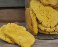 Homemade Doggy Treats Made With Canned Pumpkin Any Pooch Will Love