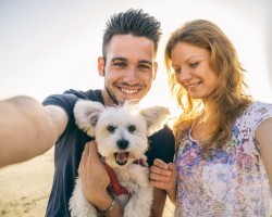 How Owning a Doggy can Make You an Even Greater Date