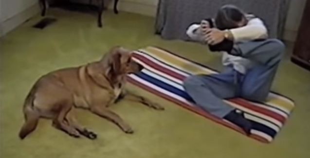 dog doing yoga