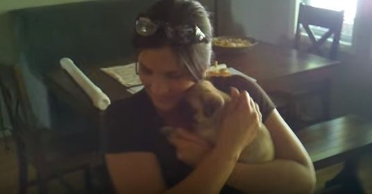 pug puppy surprise
