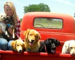 Celeb Miranda Lambert Starts a Dog Sanctuary and We Can’t Help But Love Her All the More