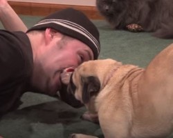 Dueling Pug and Dad Are Having WAY too Much Fun – Who Is Going to Win This Slippery Duel?!