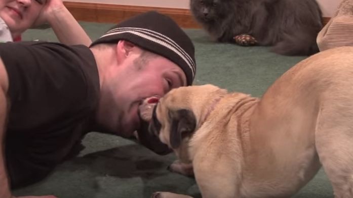 man vs pug