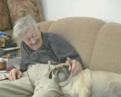 This Beautiful Story About an Elderly Man and His Pug Will Have You in Tears