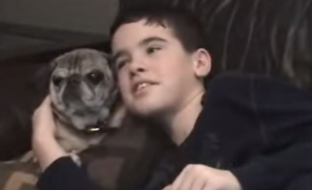 pug and little boy