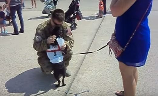 pug greeting dad