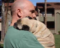 When Feeling Low, Just Hug a Pug – This Dad and Pug Have it Down!