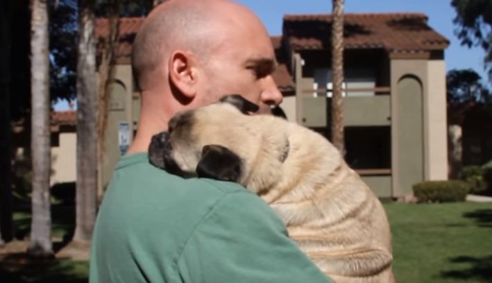 pug hug