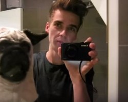 (VIDEO) OMG, This Pug Mask Prank Will Freak You Out – I Was Dying When I Saw the Guy’s Reaction!