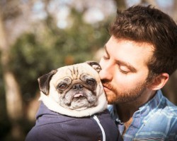 Man Shows Everyone How Much He Loves His Pug by Doing This Sweet Gesture…