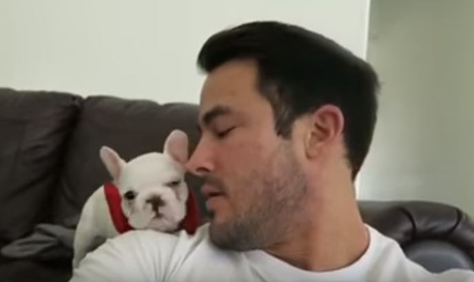 puppy near dad's shoulder