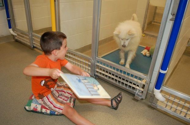 reading to dogs