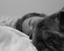 Why Sleeping With Your Pooch Could Actually be GOOD for You!