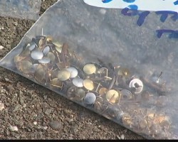 Person Places Thousands of Thumbtacks in a Dog Park with Intent to Hurt Dogs – Owners and Officials Are Furious!