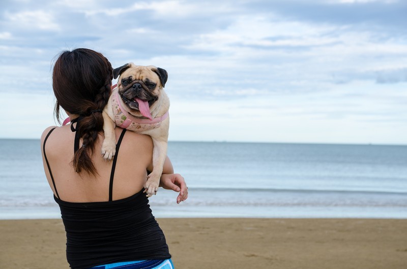 woman with pug at the beach