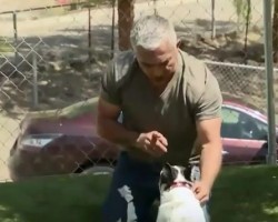 Animal Cruelty Revealed: Cesar Millan is Under Investigation for Doing THIS