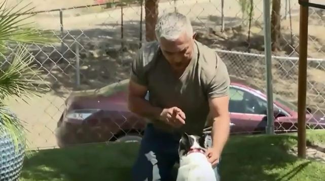 Millan pointing finger at dog