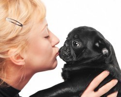 These 7 Diseases That We Can Catch From Fido Are Shocking