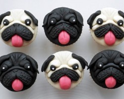4 Adorable Pug Cakes That’ll Make You Want to Start Baking and Then Cuddle up Next to Your Pug While Eating One