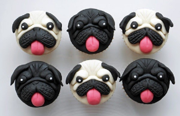black face pug cakes featured