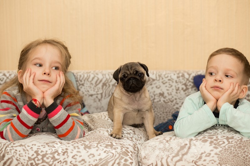 kids sitting with a pug