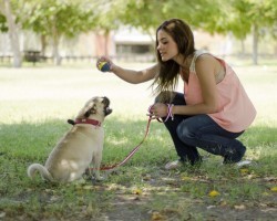 The Astonishing Reason Dog Training and a Pit of Spiders Have a Lot More in Common Than You May Think…