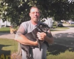 (VIDEO) Dad Uses a Command and ‘Winds Up’ His Pug. How the Pug Responds? WOW!