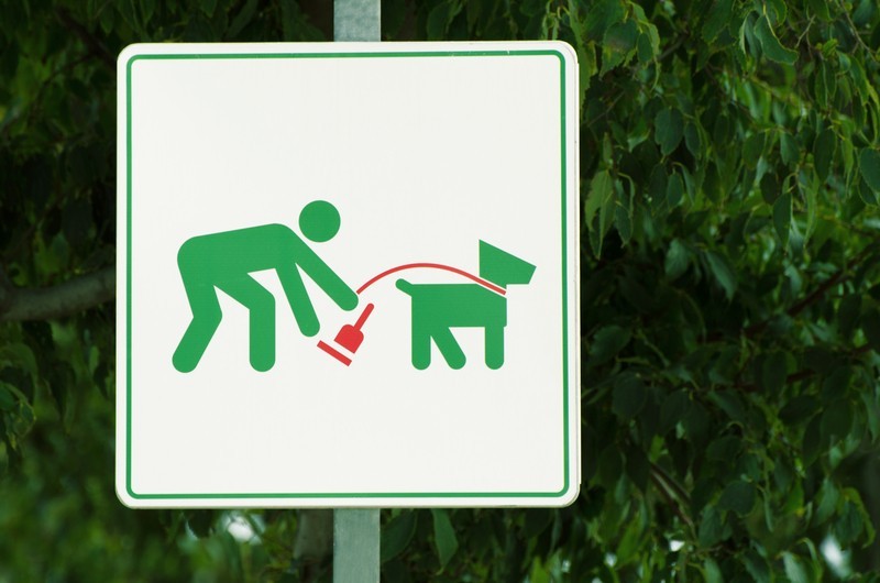 Dog Poop sign