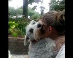 (VIDEO) Pooch Hasn’t Seen His Owner in 2 Years. Now Watch How During the Reunion He Passes Out From Overwhelming Joy!