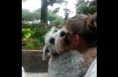 Sweet Sad Pup reunion