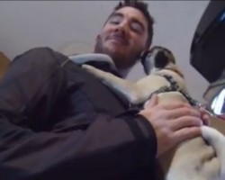 (VIDEO) Dad Comes Home and Wants a Hug From His Pug. Now Wait Until the Very End.