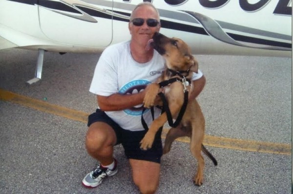 dog licking pilot