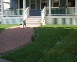 (VIDEO) Every Day This Mailman Delivers Mail. Now Keep Your Eyes on the Front Door.