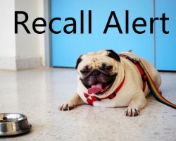 BREAKING NEWS: Several Types of Dog Food From This Well Known Brand Recalled