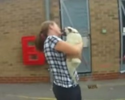 (VIDEO) You’ve Seen Plenty of Pug Reunions Before But NOTHING Like This One… OMG!