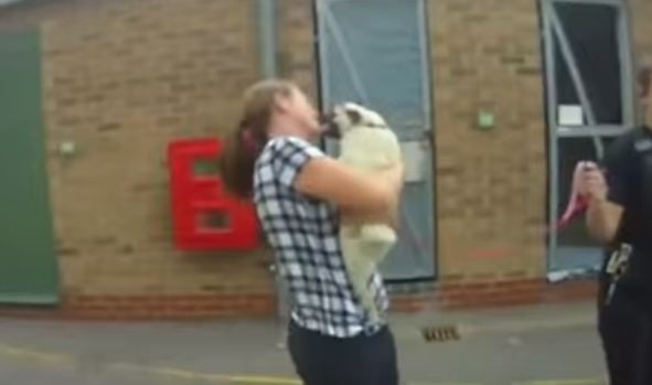 pug reunited with owner