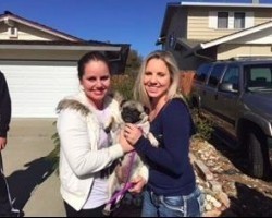 Marine Runs Into a Burning House to Save a Pug. OMG, What a Hero!