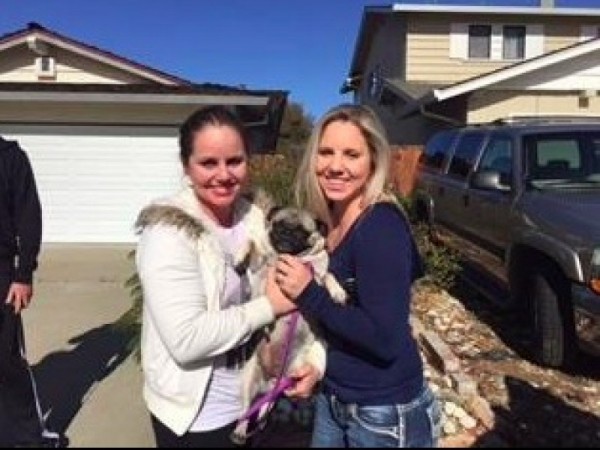 rescued pug Livermore