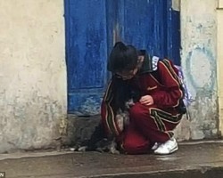 When She Sees a Dog Shivering in the Rain, Watch How a Girl Does an Incredible Act of Kindness That Went Viral