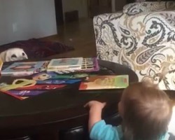 (VIDEO) This Doggy and Baby Playing Peekaboo Could Seriously Entertain You all Day Long.