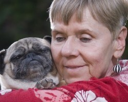 The Health Benefits the Elderly Receive From Owning a Dog Are Astounding