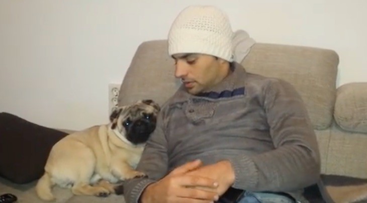 pug and dad