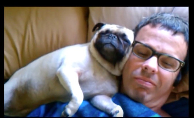 pug sleeping by dad