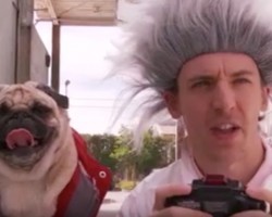 (VIDEO) It’s Time to Go Back in Time With Some Pugs in This Pug ‘Back to the Future’ Spoof!