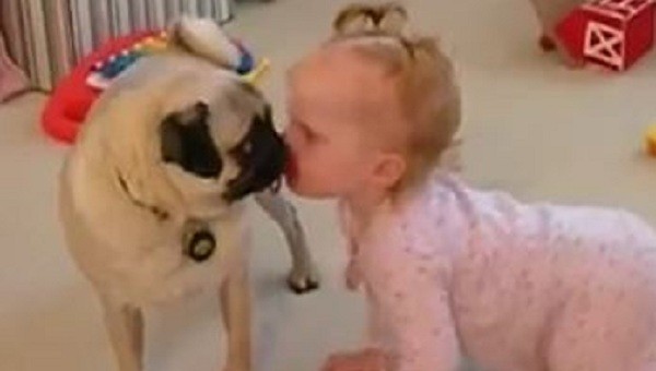 puggy kiss